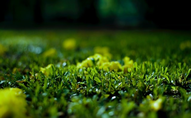 focus photo of fake grass