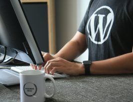 Effective Strategies for WordPress Website Security